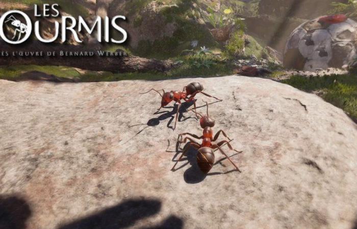 Notre avis sur Les Fourmis, un surprenant jeu de stratégie français adapté du roman de Bernard Werber