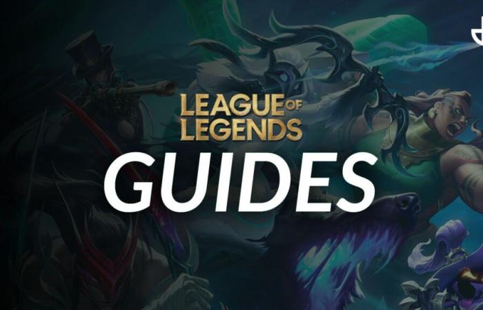 Liens rapides vers nos meilleurs guides