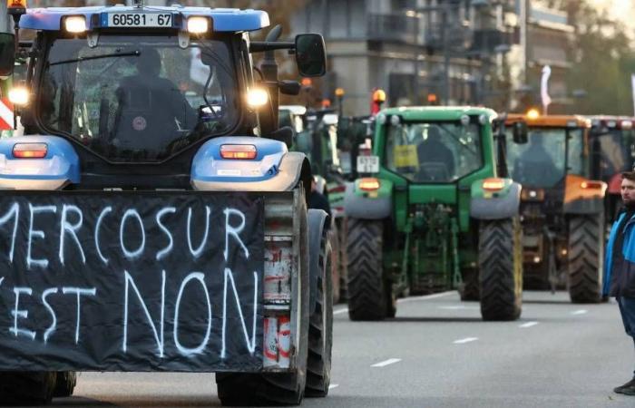 Opposition de la France, soutien de l’Allemagne, craintes des agriculteurs… tout comprendre du traité du Mercosur