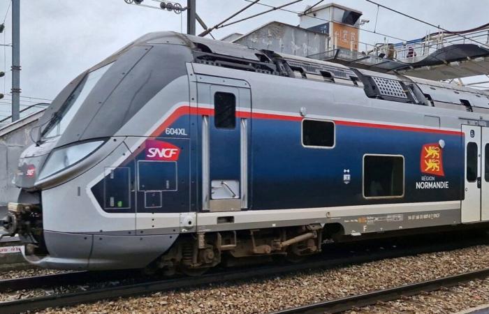 SNCF. Ralenti par le mauvais temps et les sangliers, un trajet Caen-Paris arrive avec 7 heures de retard