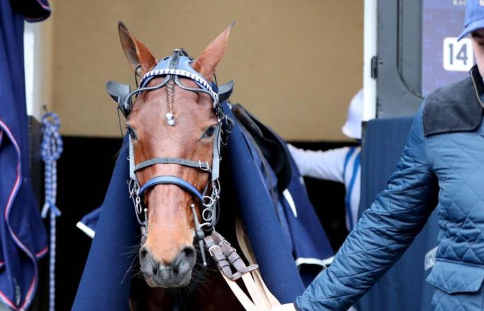 Benjamin Rochard in sella alla Granvillaise Bleue