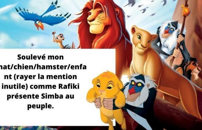 vous sauvez Mufasa si vous répondez « oui » à la moitié de ces questions « jamais posées »