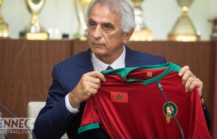 “J’ai été pris pour un idiot” : Halilhodzic divise le Maroc