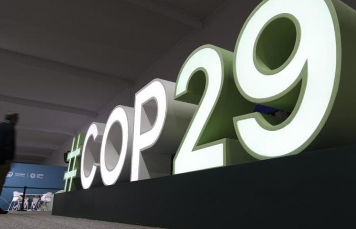 COP 29, une grosse déception pour l’Afrique…