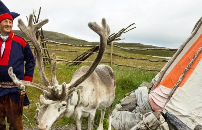 Les Sami, un mode de vie et une langue menacés par le réchauffement climatique