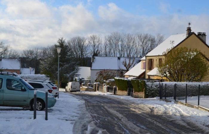 Langres donne des ailes au moustique tigre