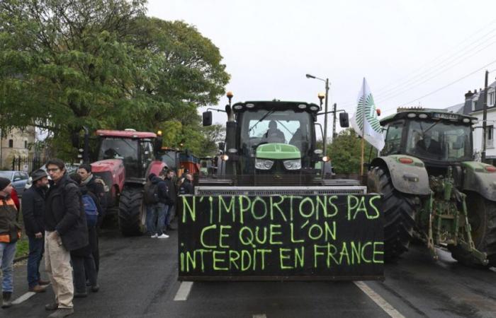 La France cherche à rallier une minorité de blocage contre l’accord commercial avec le Mercosur