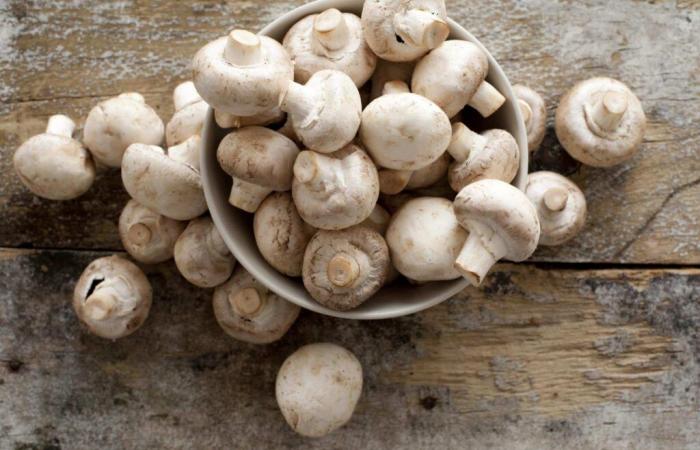 L’extrait de champignon de Paris ralentit la croissance du cancer de la prostate, selon une étude