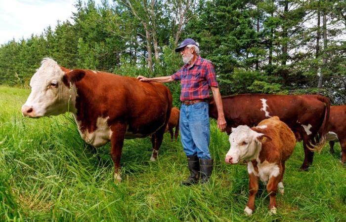 Planète bleue, idées vertes | La ferme aux milliers d’arbres