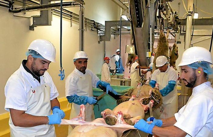 Quel avenir pour l’abattoir de Saint-Affrique, désormais fermé ?