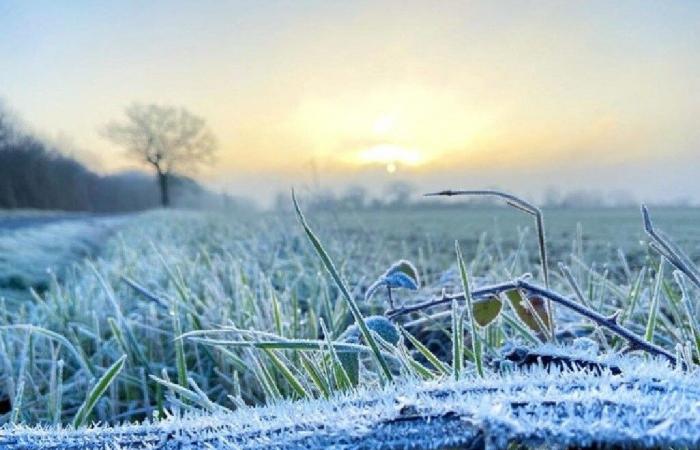 Un possible retour du froid cette semaine très changeante dans le Centre-Val de Loire