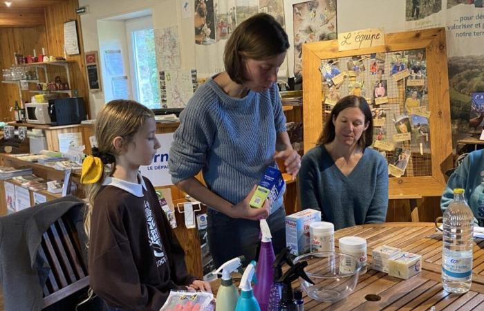 Dans l’Orne, des produits d’entretien naturels pour la maison : « préserver notre santé »