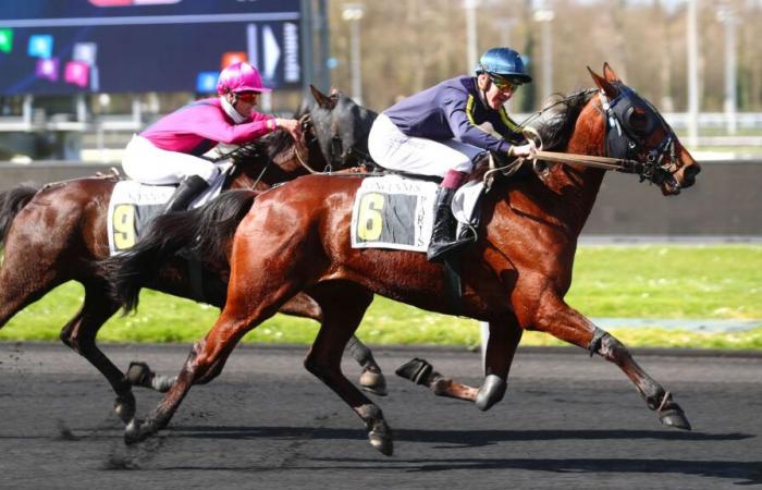 LES COURSES DU MARDI À PARIS-VINCENNES