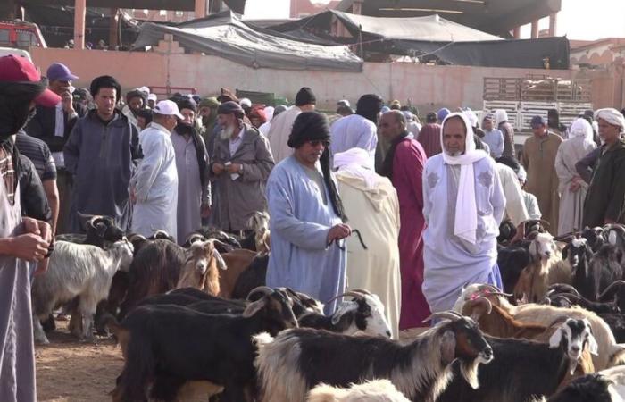 Souk Amhirich, une destination incontournable à découvrir à Guelmim