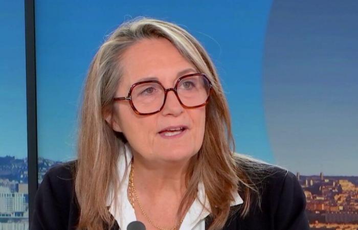 “La France n’est pas isolée”, assure Sophie Primas, ministre chargée du Commerce extérieur