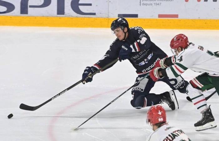 Hockey sur glace – Coupe de France (8e). Avec les ducs d’Angers, c’est la tournée de Tavernier