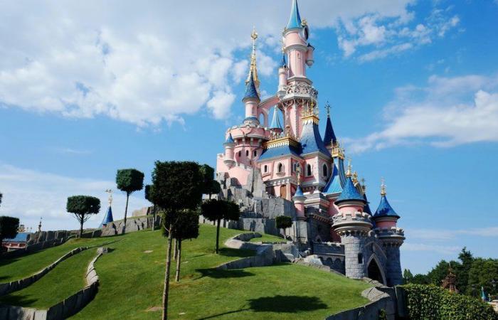 Fin du tarif unique et jusqu’à 175 € pour l’entrée journalière, le pass prioritaire, la parade payante… La nouvelle politique tarifaire de Disneyland suscite la protestation des fans