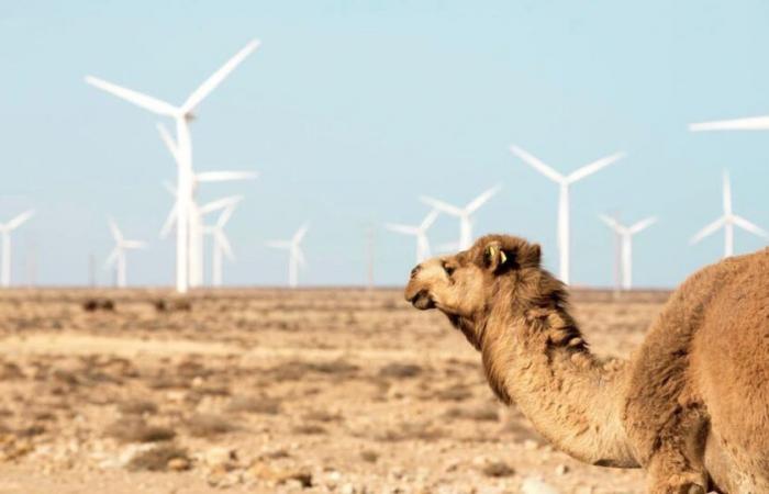 Bulletin météo. Légère baisse des températures ce lundi 25 novembre, avec du temps chaud dans le Souss et quelques averses dans l’Atlas