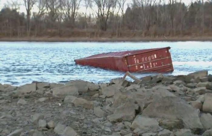 EN IMAGES | Un conteneur de peluches échoué sur les berges du fleuve Saint-Laurent à Boucherville