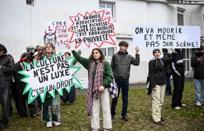 plus de 3.000 manifestants contre la baisse des subventions culturelles