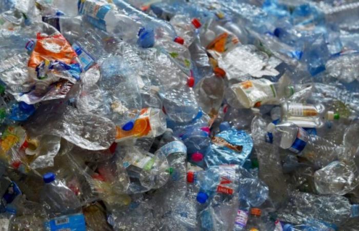 les Français progressent sur le plastique, mais restent loin de l’objectif européen : Actualités