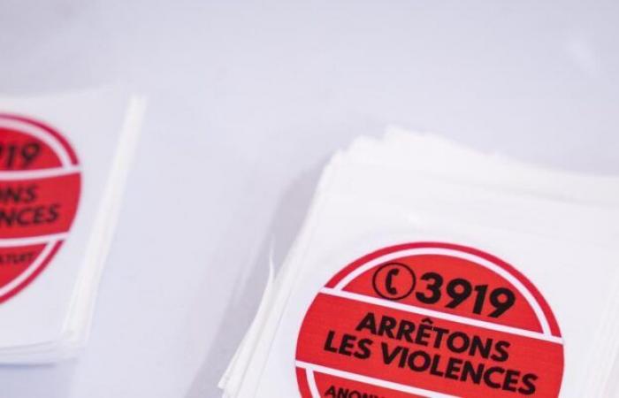 Journée internationale pour l’élimination de la violence à l’égard des femmes