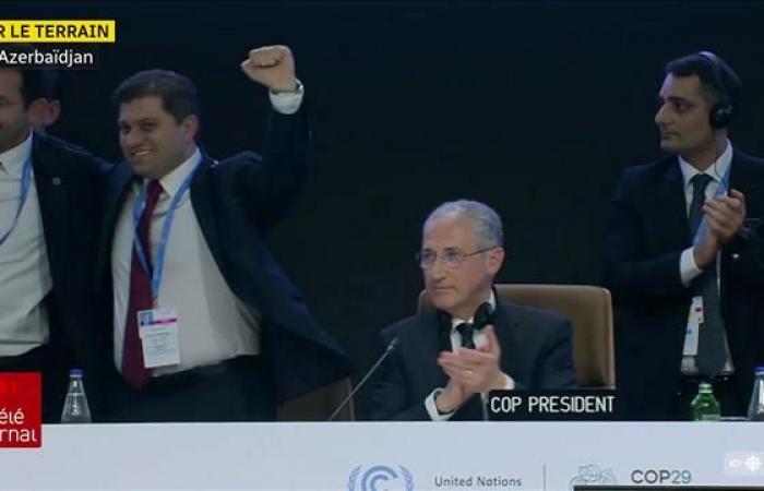 La COP29 laisse un goût amer aux pays en développement et aux groupes environnementaux