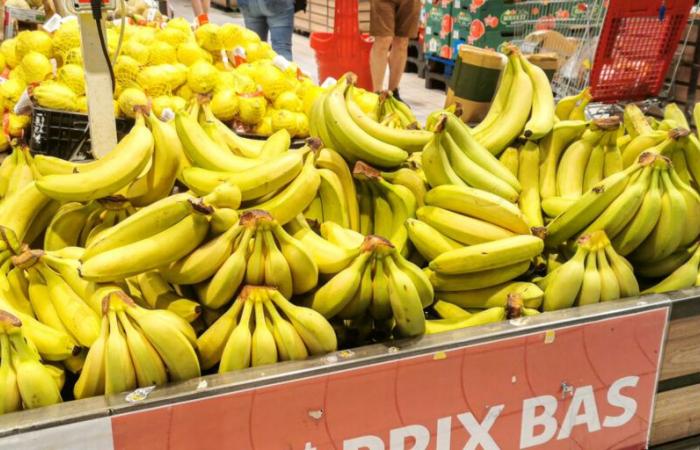 Parce que le prix des bananes va probablement augmenter