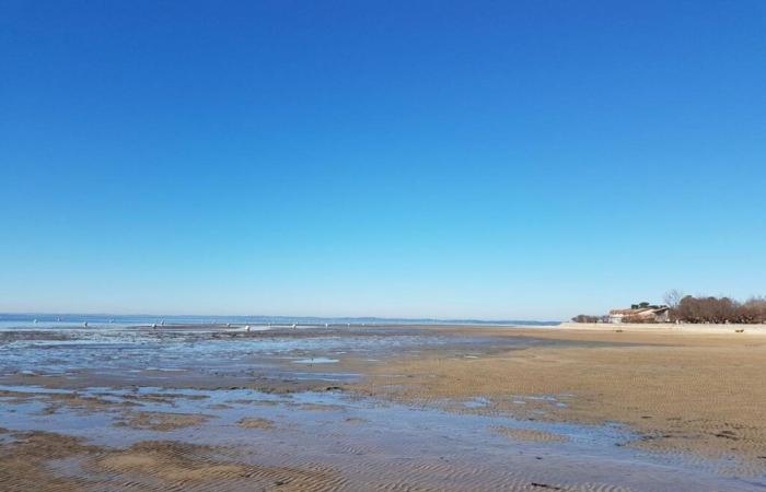 le trentenaire disparu dans le bassin d’Arcachon retrouvé par des voisins dans la boue