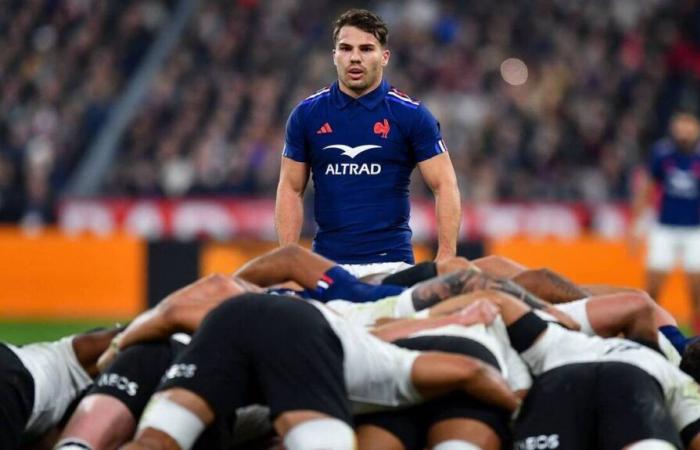 Rugby. Un France – Nouvelle-Zélande aux Etats-Unis ?