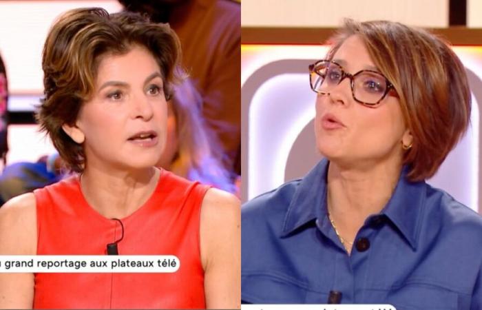 Anne Nivat bouleversée par une question sur son mari Jean-Jacques Bourdin sur France 5 (VIDEO)