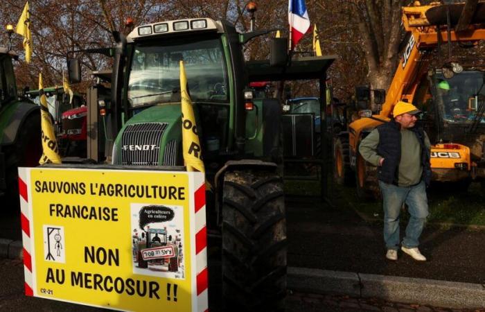 L’éleveur Jérôme Bayle alerte sur la “survie” d’un monde agricole “divisé”