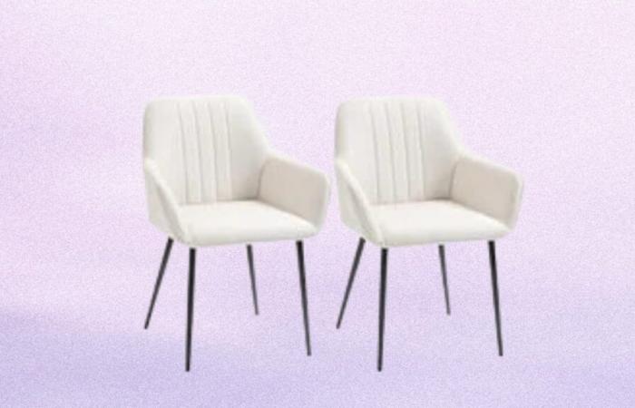 Réinventez votre intérieur chez ManoMano avec cette offre Black Friday sur ce lot de 2 chaises