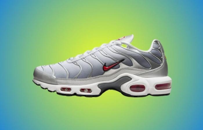 Erreur de prix sur ces Air Max Plus ultra tendances ? Nike frappe fort