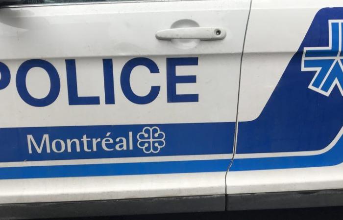 Le SPVM à Sainte-Rose pour retrouver les armes d’un meurtre de 2022