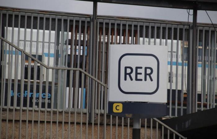 attention, aucun train ne circulera dans plus d’une vingtaine de gares en Essonne pendant deux jours