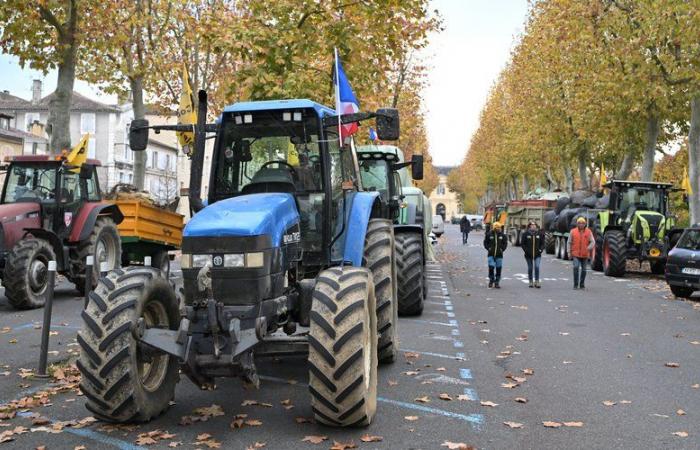 DIRECT. La colère des agriculteurs : début de la deuxième semaine de mobilisation, diverses opérations à travers le pays