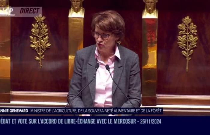 [DIRECT] Mercosur : déclaration du gouvernement suivie d’un débat et d’un vote à l’Assemblée nationale