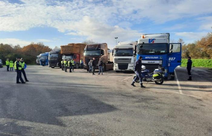 Un contrôle routier à grande échelle, à l’approche du Black Friday, en Ille-et-Vilaine