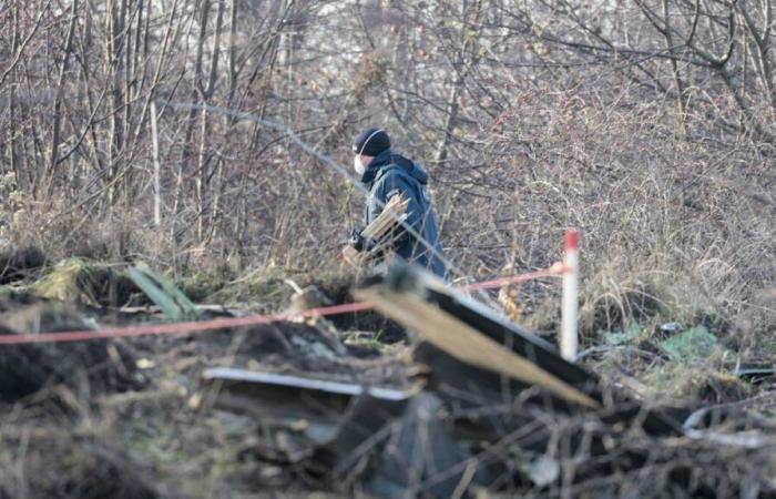 Crash d’un avion cargo DHL en Lituanie : des boîtes noires trouvées