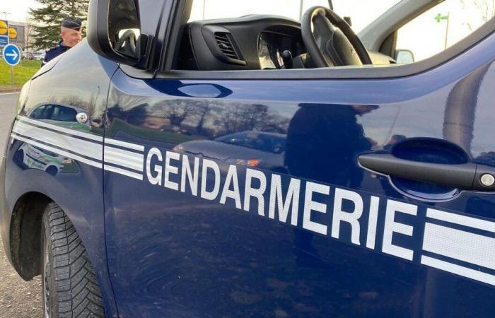 Disparition inquiétante d’une adolescente dans les Côtes d’Armor