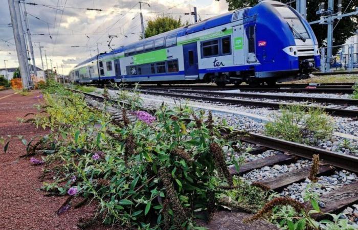 Le trafic SNCF ralentit entre Paris et l’Oise suite à des câbles coupés et brûlés