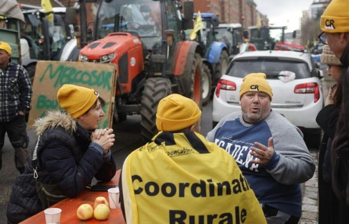 Vote des députés français contre le Mercosur : quel impact au niveau européen ?