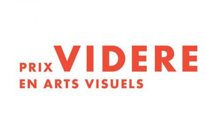 Manif d’art annonce les lauréats des Prix Videre