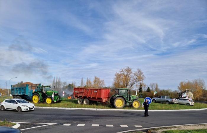 Des agriculteurs occupent le rond-point Parasol à Villeneuve-sur-Lot