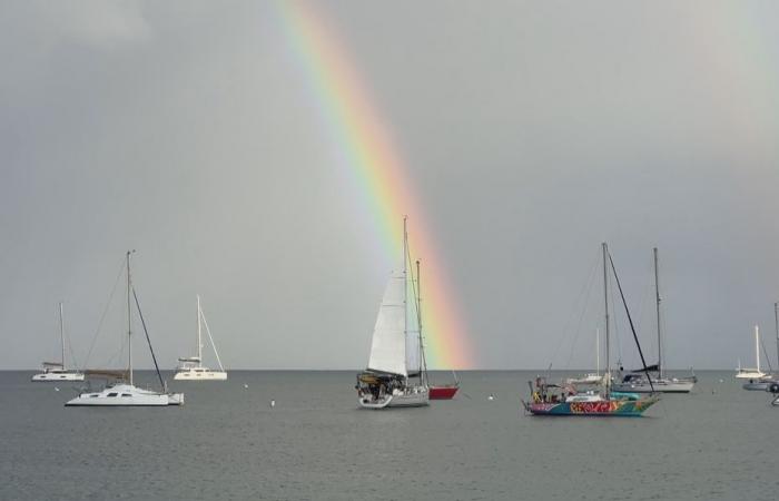 arrivée à Marie-Galante des deux Amel Yachts Thauride V et Vagalonga, Maryse Etzol en approche