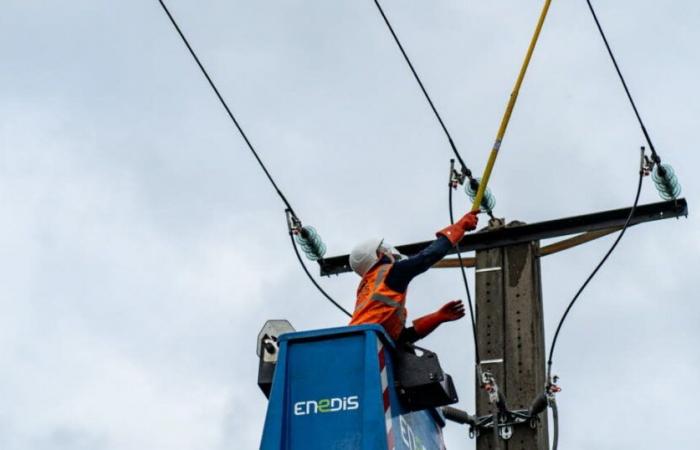 Bulletin météo. Après la tempête Bert, toujours 600 foyers sans électricité dans la Loire et 1 500 dans le Rhône