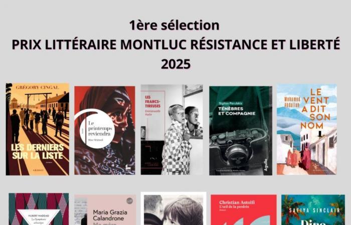 Première sélection pour le Prix littéraire Montluc Résistance et Liberté 2025