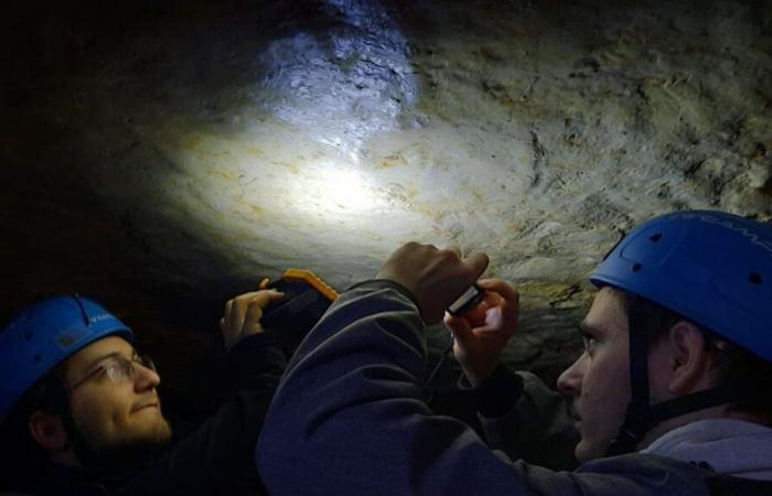 chercheurs et étudiants aux prises avec les nouveaux secrets de la grotte de Bèze