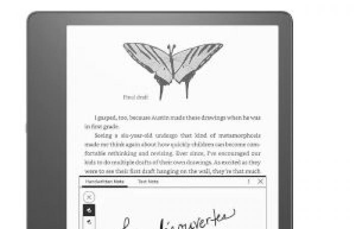 Quelle liseuse Kindle acheter pour lire vos livres préférés ?